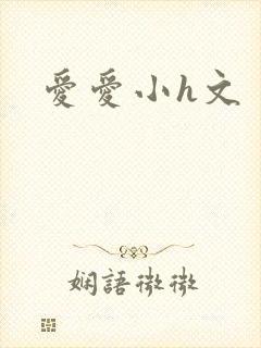 爱爱小h文