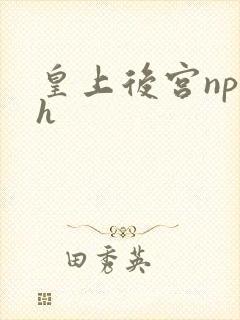 皇上后宫np高h封面