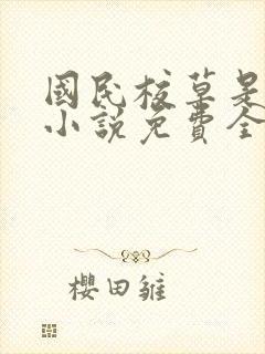 国民校草是女生小说免费全集封面