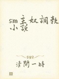 sm主奴调教文小说