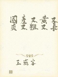 国产又黄又大又爽又粗又长又色的视封面