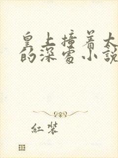 皇上撞着太子妃的深处小说