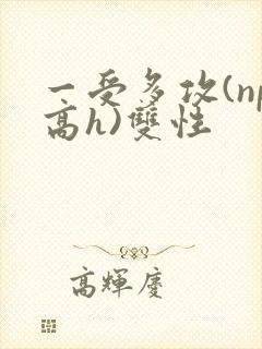 一受多攻(np高h)双性