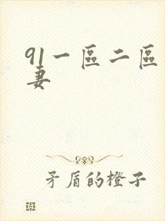 91一区二区人妻