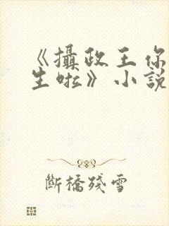 《摄政王你也重生啦》小说