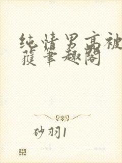 纯情男高被我俘获笔趣阁