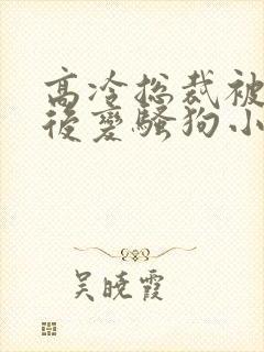 高冷总裁被催眠后变骚狗小说