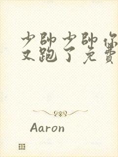 少帅少帅你老婆又跑了免费阅读