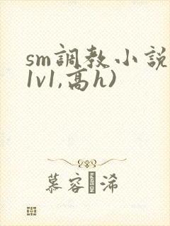 sm调教小说(1v1,高h)