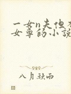 一女n夫但不是女尊的小说封面