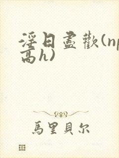 淫日尽欢(np高h)