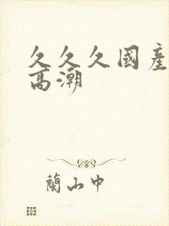 久久久国产精品高潮封面