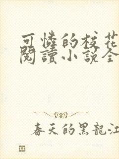 可怜的校花免费阅读小说全文