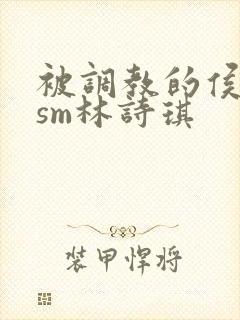 被调教的侯夫人sm林诗琪封面