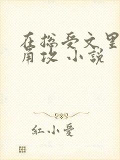 在总受文里抢主角攻 小说