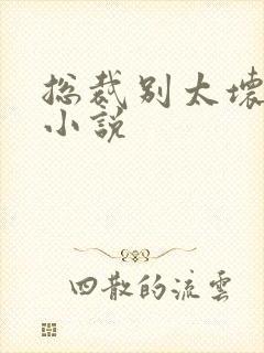 总裁别太坏免费小说