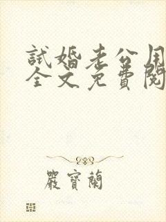 试婚老公用点力全文免费阅读