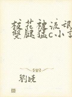 校花被流氓扒开双腿猛c小说