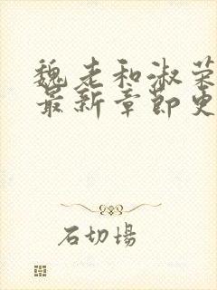 魏老和淑荣小说最新章节更新封面