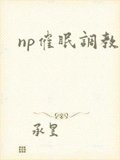 np催眠调教