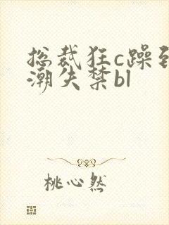 总裁狂c躁到高潮失禁bl封面