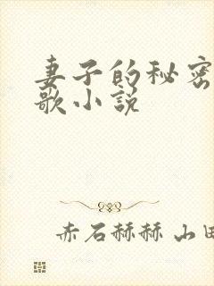 妻子的秘密君莫歌小说