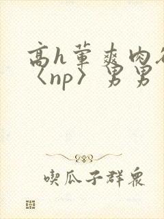 高h荤爽肉欲文〈np〉男男