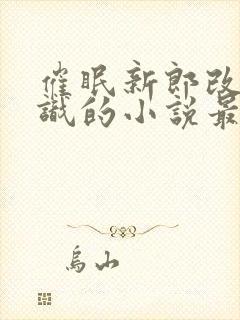 催眠新郎改变常识的小说最新章节更