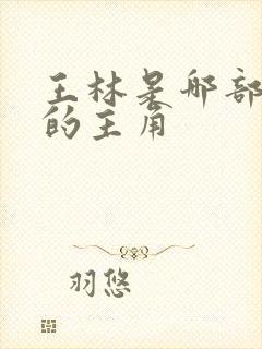 王林是哪部小说的主角