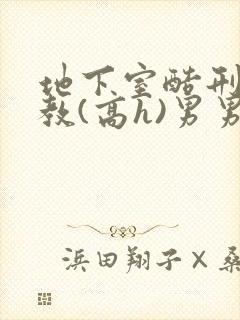 地下室酷刑性调教(高h)男男