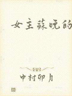 女主苏晚的小说封面