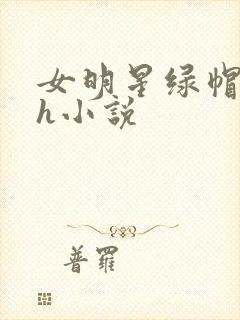 女明星绿帽淫传h小说封面