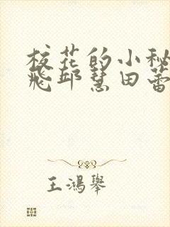 校花的小秘密周飞邱慧田蕾小说