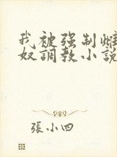 我被强制雌堕肉奴调教小说