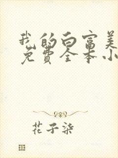 我的白富美老婆免费全本小说