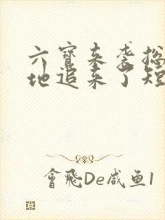 六宝来袭总裁爹地追来了短剧