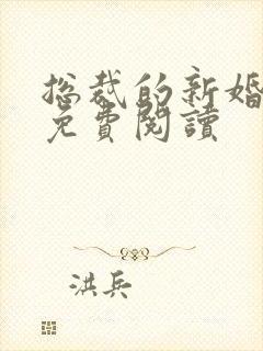 总裁的新婚罪婚免费阅读