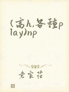 (高h,各种play)np