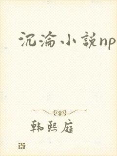 沉沦小说nph