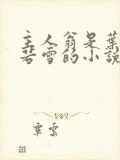 主人翁是叶凡唐若雪的小说