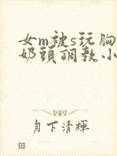 女m被s玩胸虐奶头调教小说