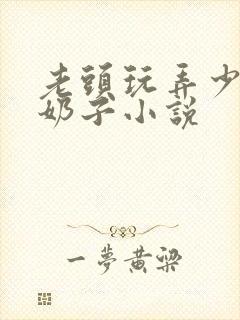 老头玩弄少妇的奶子小说