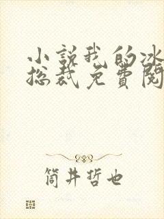 小说我的冰山女总裁免费阅读