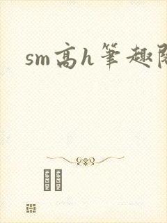 sm高h笔趣阁封面