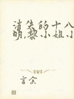 消失的十八层王明,黎小姐小说