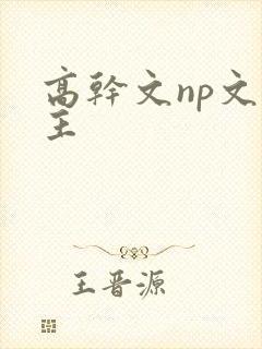 高干文np文女主封面