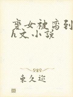 变女被脔到高潮h文小说封面