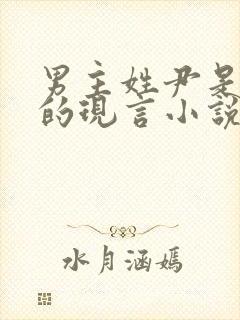 男主姓尹是总裁的现言小说