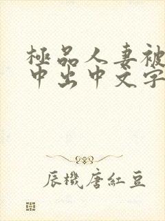 极品人妻被黑人中出中文字幕