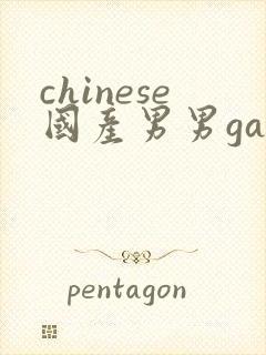 chinese国产男男gaygay封面